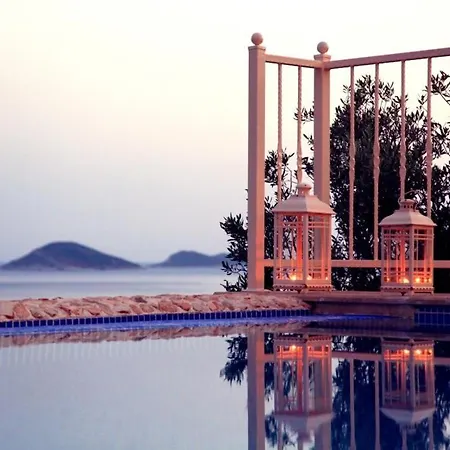 Eco Diony Villa